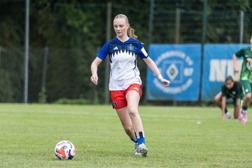 Bild 216 - wBJ HSV Leistungsvergleich